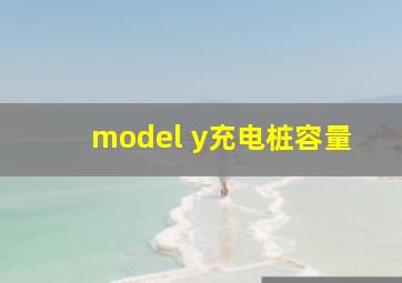 model y充电桩容量